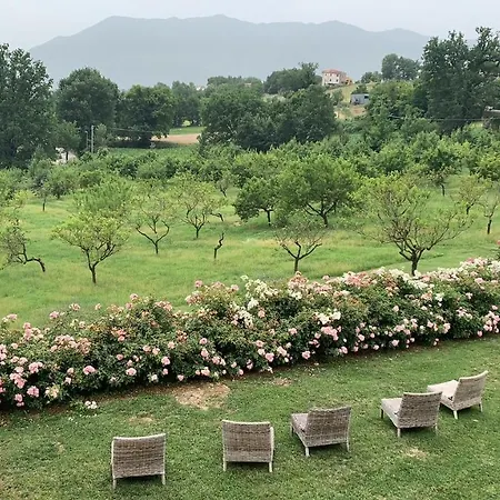 Relais Colle Buono Hotell 4*